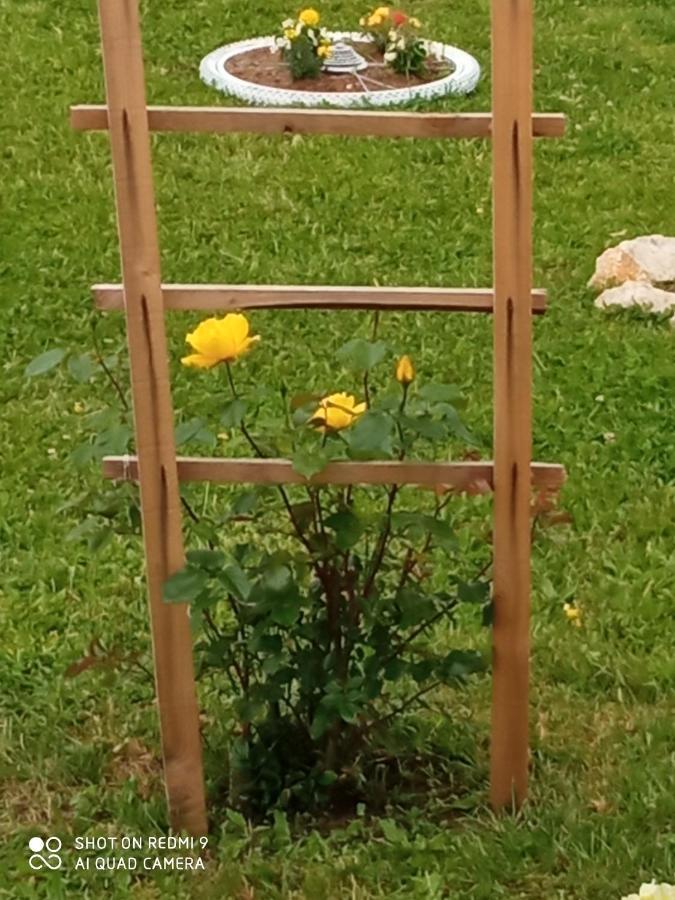 Yellow Rose Rakovica Eksteriør bilde