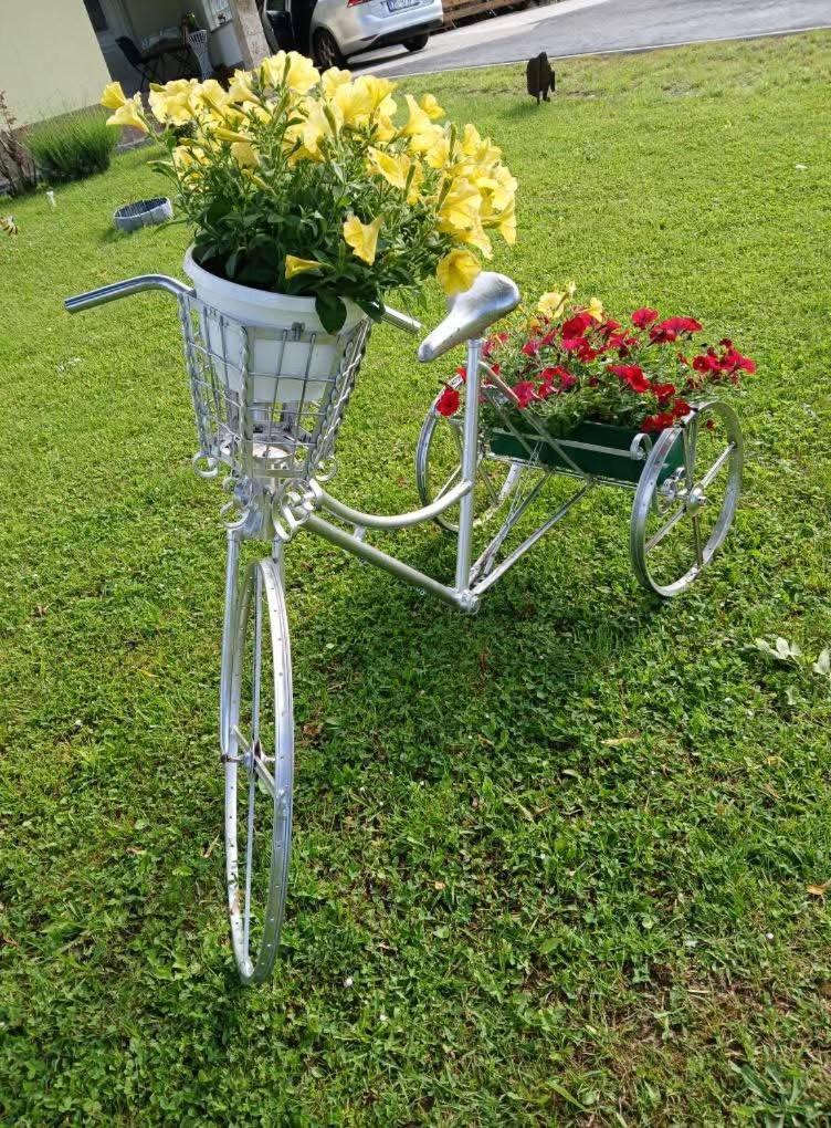 Yellow Rose Rakovica Eksteriør bilde